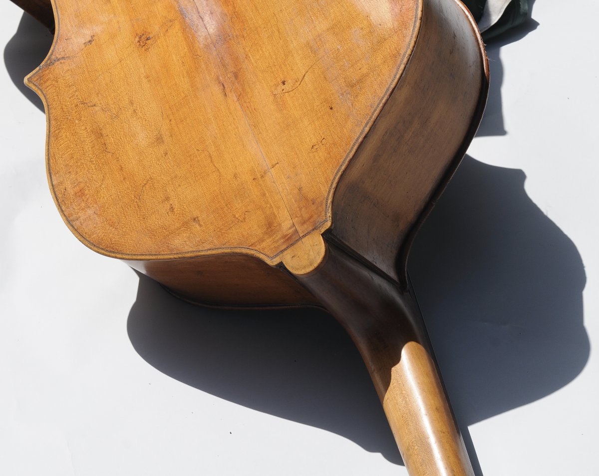 European Double Bass, Late 19th–early 20th Century-photo-5