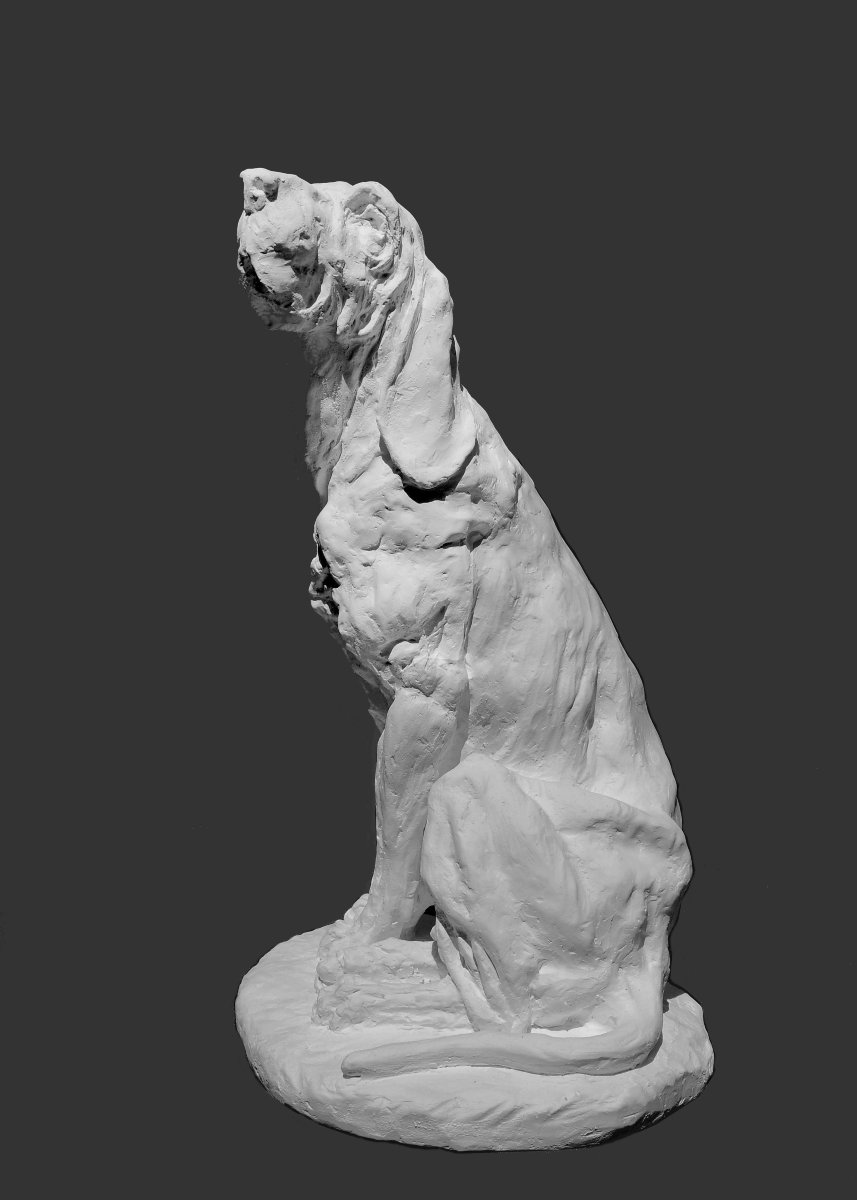 Jean Paul Gourdon, "seated Hunting Dog," Plaster-photo-2