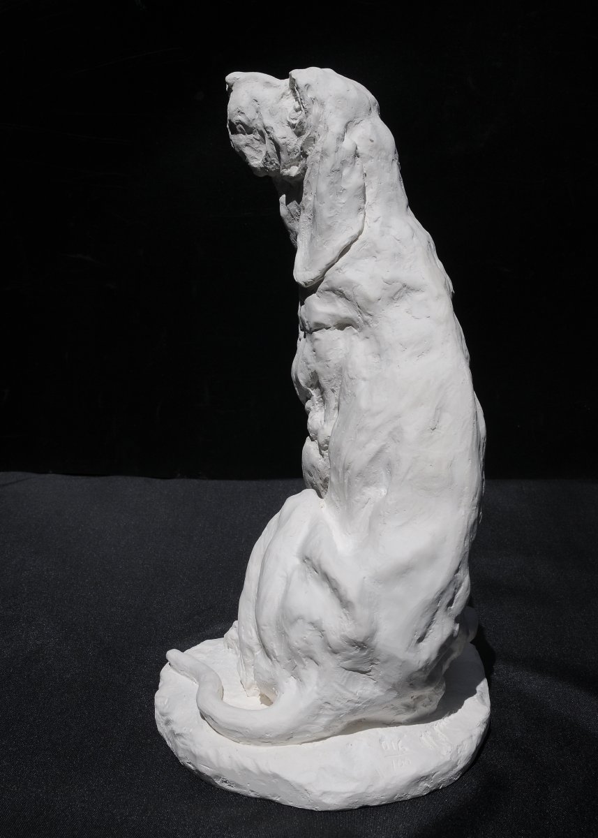 Jean Paul Gourdon, "seated Hunting Dog," Plaster-photo-3