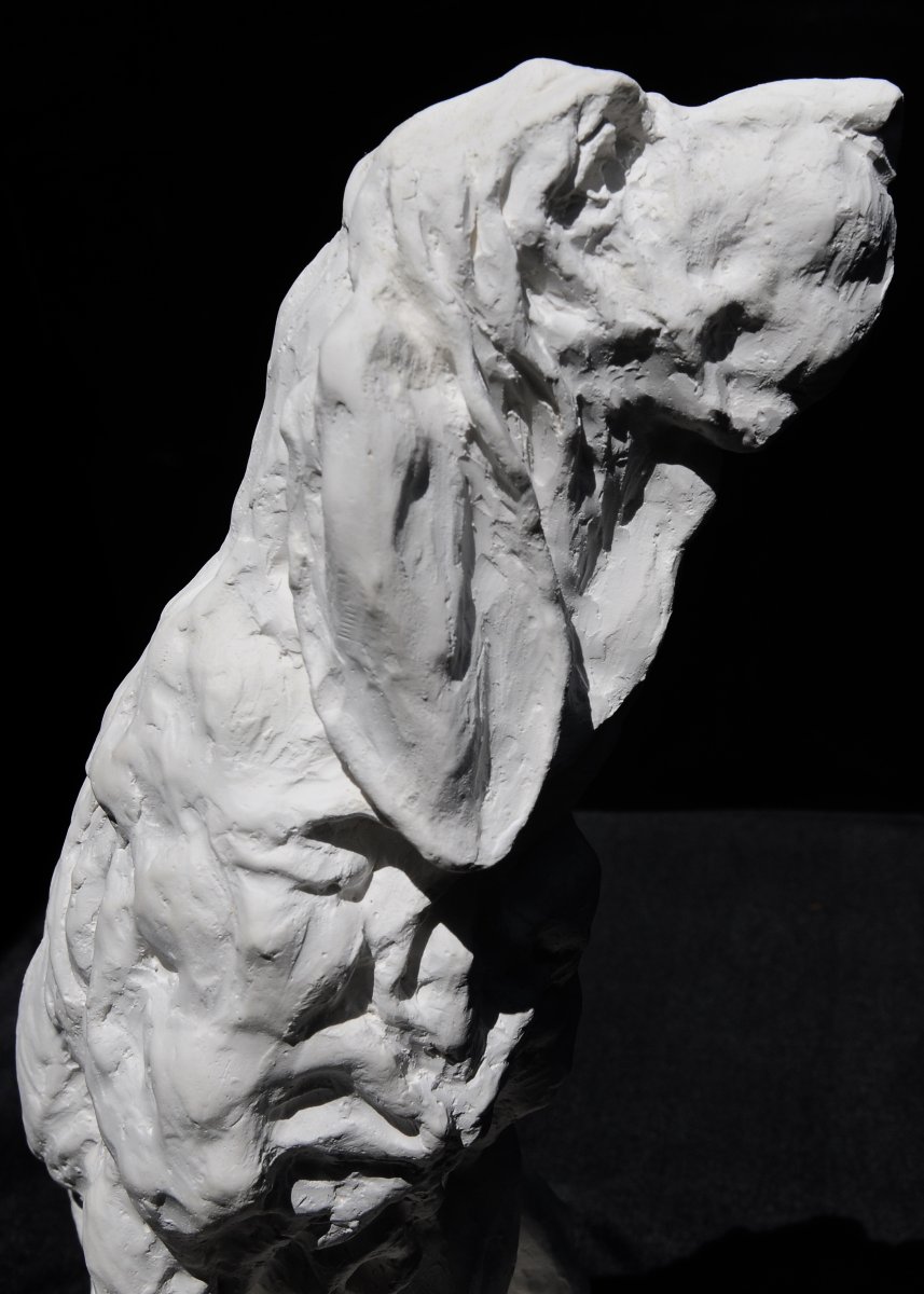 Jean Paul Gourdon, "seated Hunting Dog," Plaster-photo-2