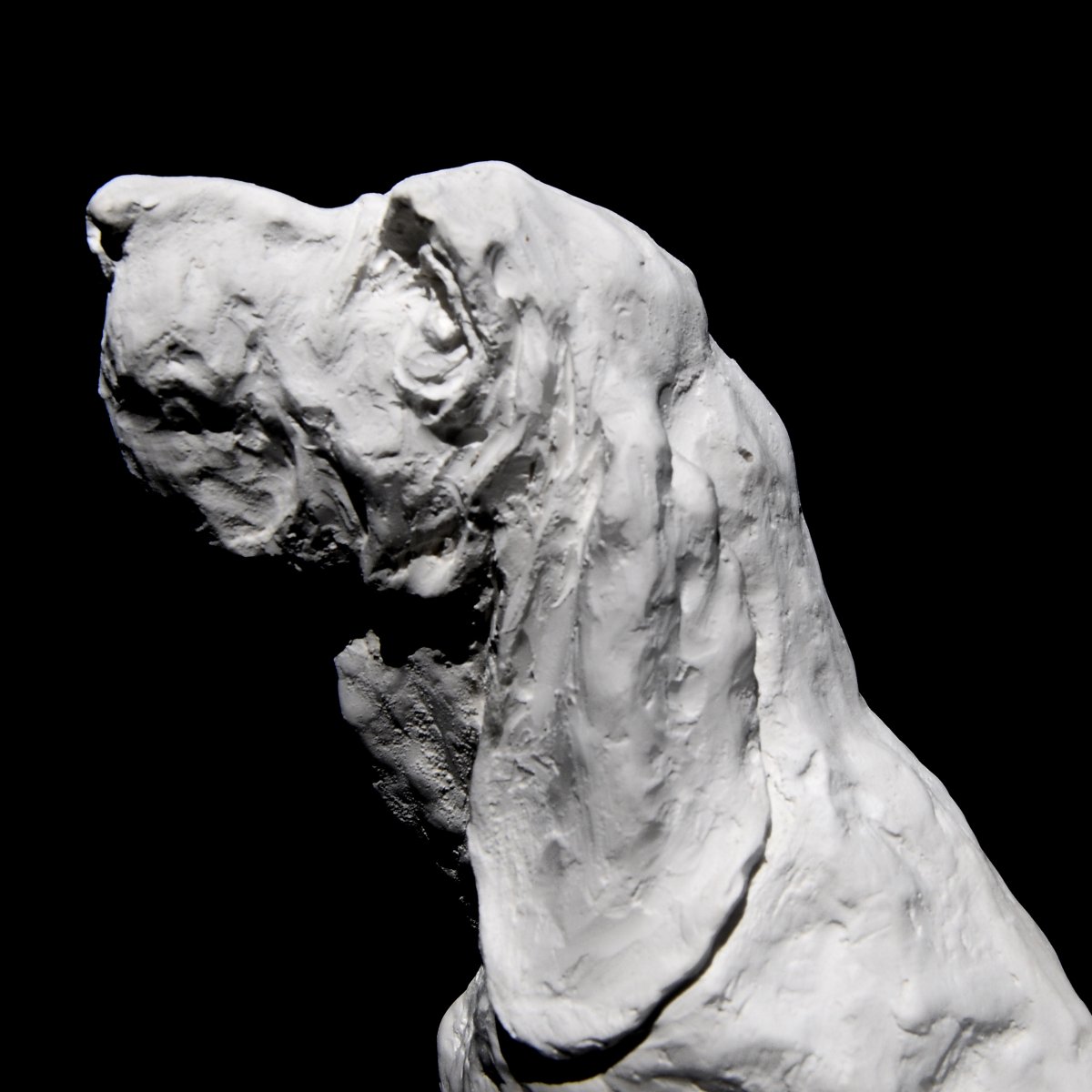 Jean Paul Gourdon, "seated Hunting Dog," Plaster-photo-4