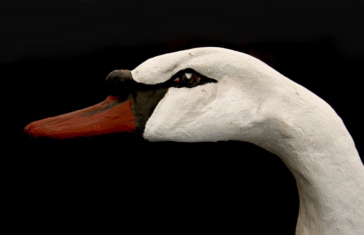 Painted Cardboard Carousel Swan, Circa 1900-photo-2