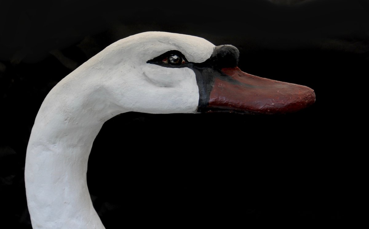 Painted Cardboard Carousel Swan, Circa 1900-photo-4