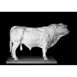 Jean-paul Gourdon "stopped Bull" Large Plaster Limited Edition