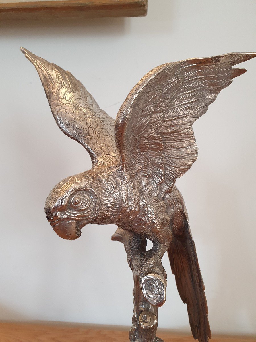 Parrot, Silver Bronze, Alpaca, XX°.-photo-3