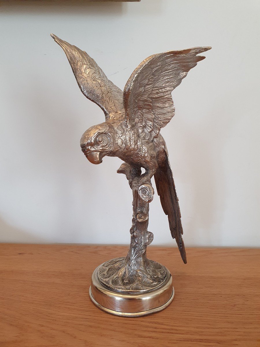 Parrot, Silver Bronze, Alpaca, XX°.