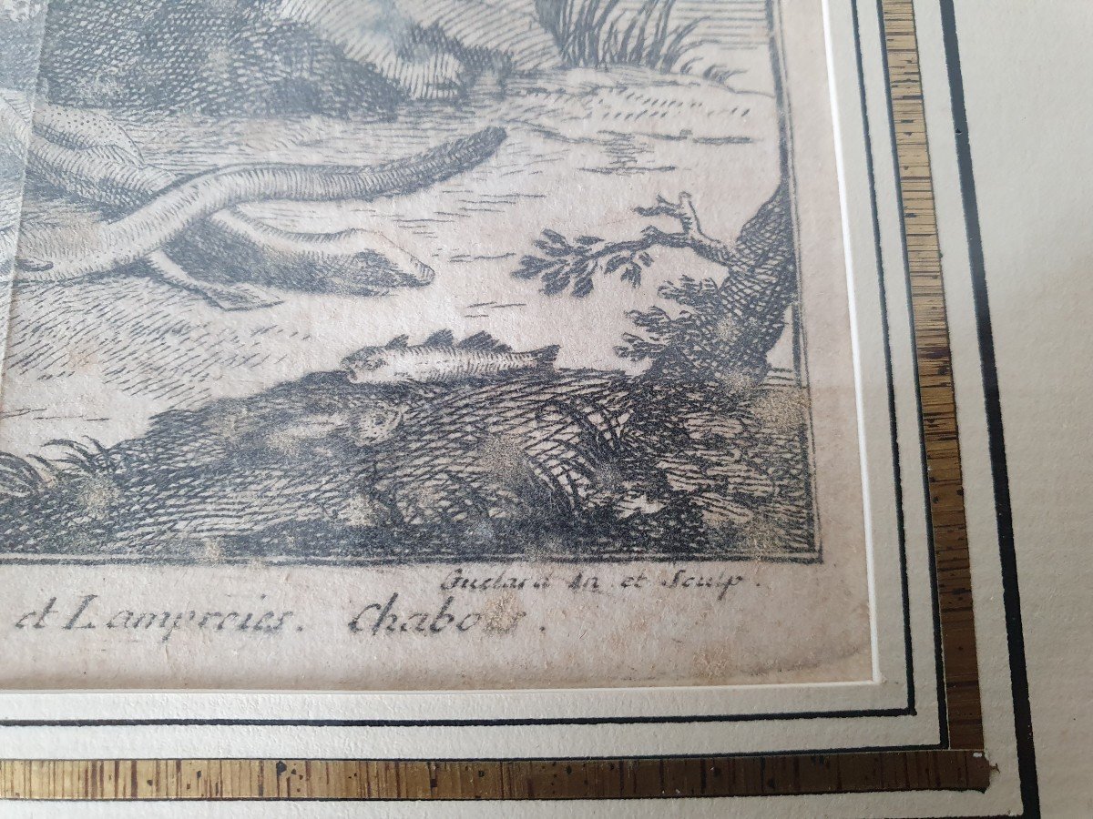 Fishing, Engraving, XVIII°.-photo-4