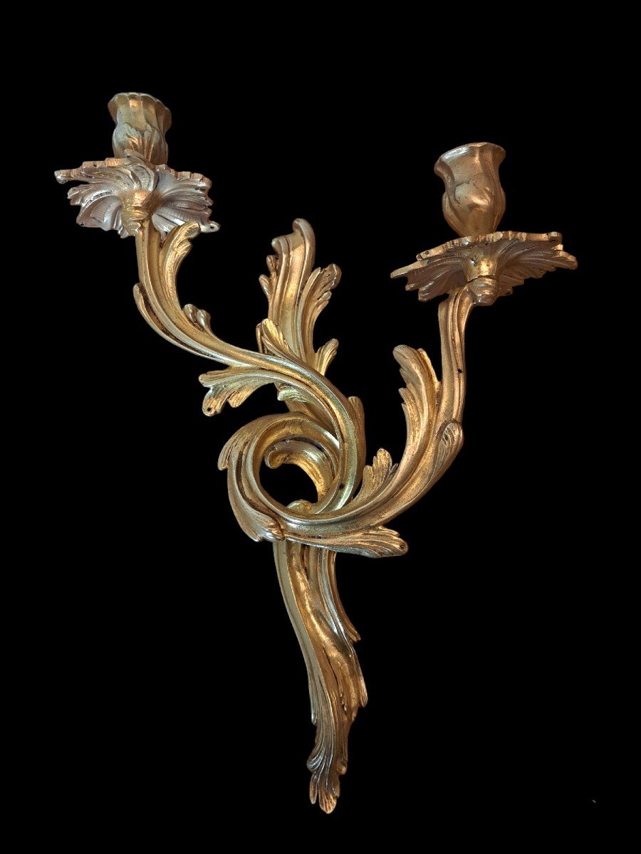 Pair Of Sconces, Gilt Bronze, Louis XV, 19th Century. -photo-3