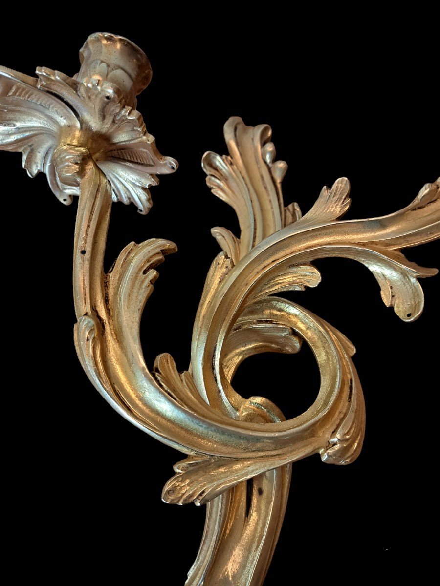 Paire d'Appliques , Bronze Doré , Louis XV , XIX°. -photo-1