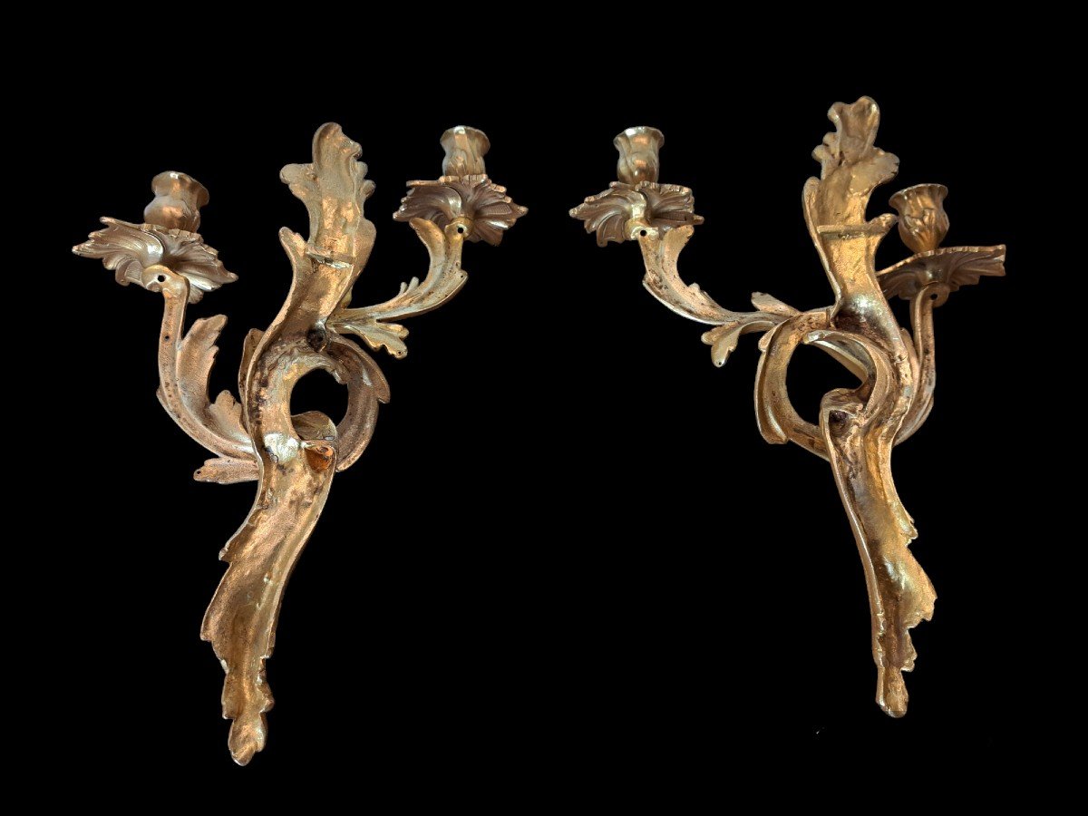 Paire d'Appliques , Bronze Doré , Louis XV , XIX°. -photo-3