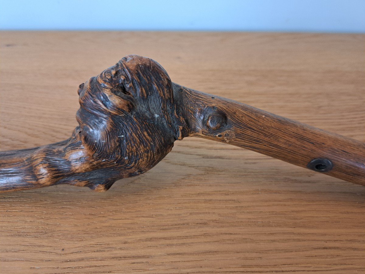 Canne Monoxyle , Bois Noueux , Art Populaire , XIX°. -photo-2