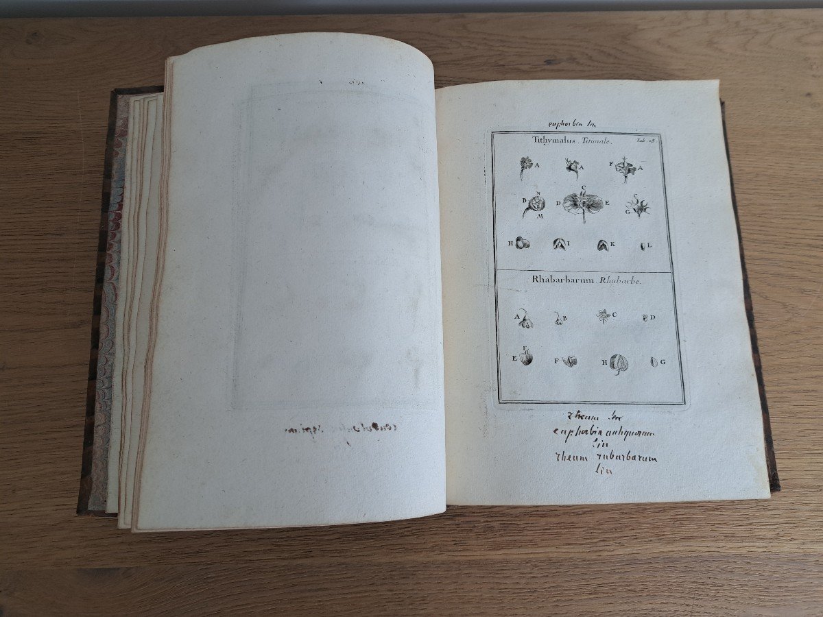 Institutions Rei Herbariae, Volume Ii, Joseph Pitton De Tournefort, Early 18th Century. -photo-4