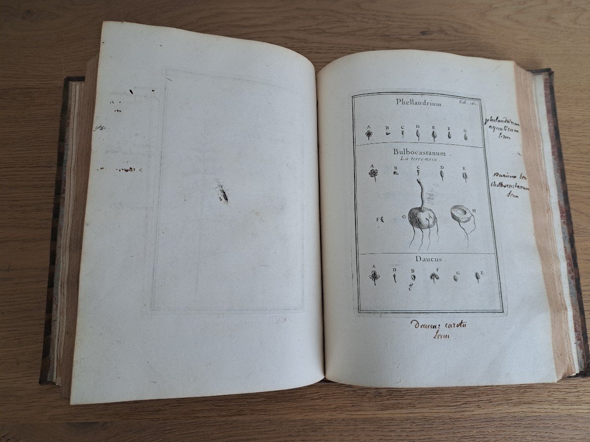 Institutions Rei Herbariae, Volume Ii, Joseph Pitton De Tournefort, Early 18th Century. -photo-5
