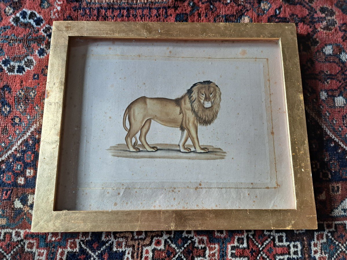 La Roche Laffitte , Lion , Aquarelle , XX°. 