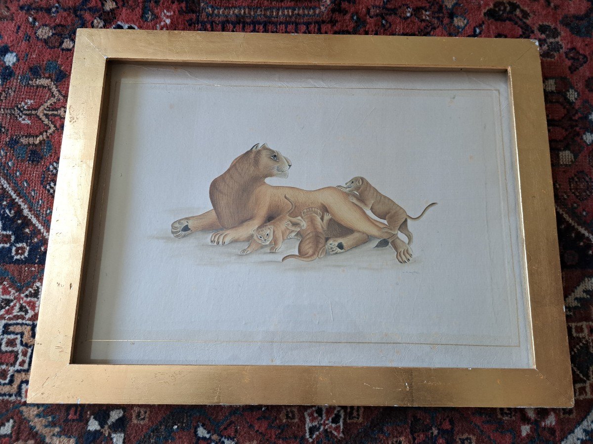La Roche Laffitte, Lioness And Lion Cubs, Watercolor, 20th Century. -photo-4