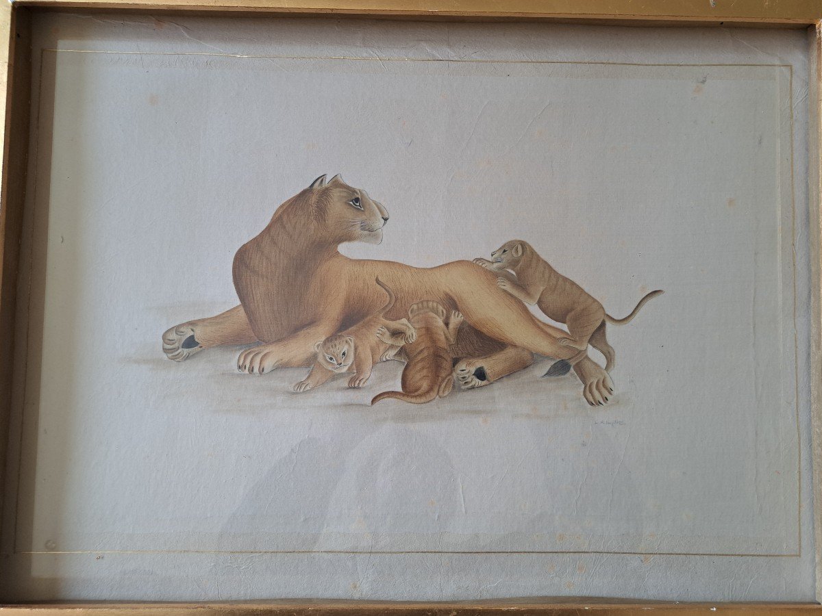 La Roche Laffitte, Lioness And Lion Cubs, Watercolor, 20th Century. -photo-4