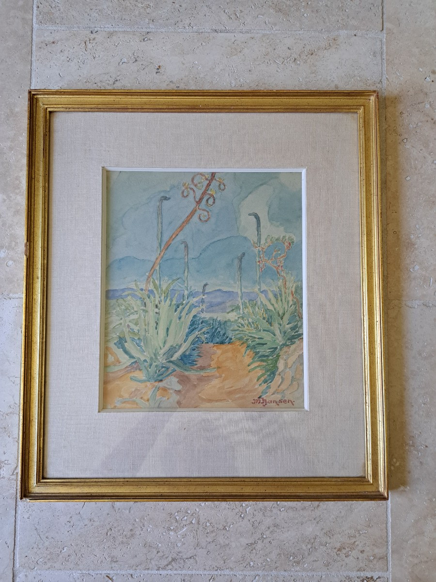 Les agaves , Aquarelle , M.Hansen , XX°. 