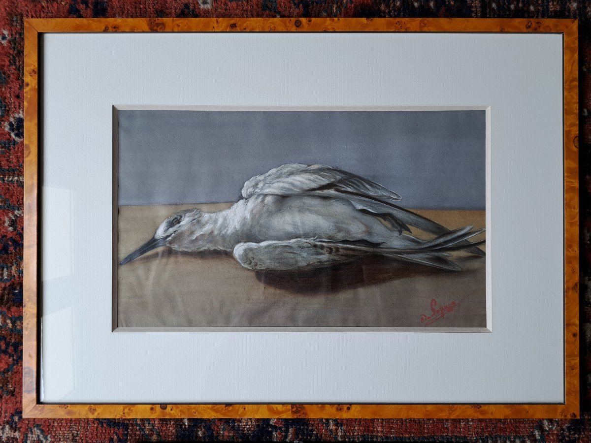 Count Of Passage, Suite Of Two Watercolors Of Birds, 19th Century. -photo-3