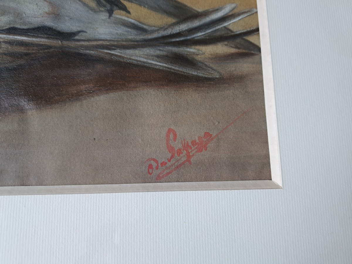 Count Of Passage, Suite Of Two Watercolors Of Birds, 19th Century. -photo-1