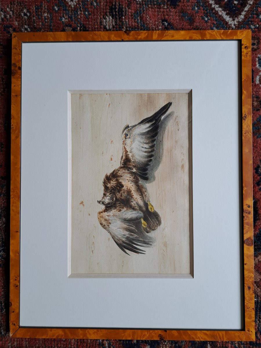 Count Of Passage, Suite Of Two Watercolors Of Birds, 19th Century. -photo-2