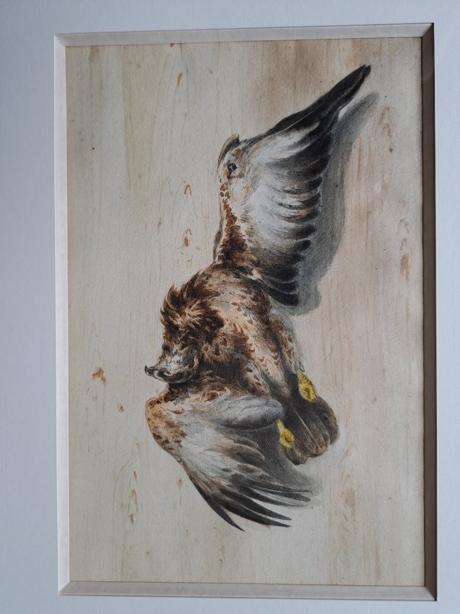 Count Of Passage, Suite Of Two Watercolors Of Birds, 19th Century. -photo-3