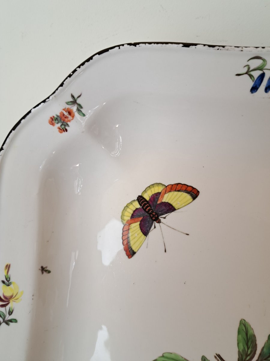 Fruit And Butterfly Dish, Porcelain, 18th Century. -photo-3