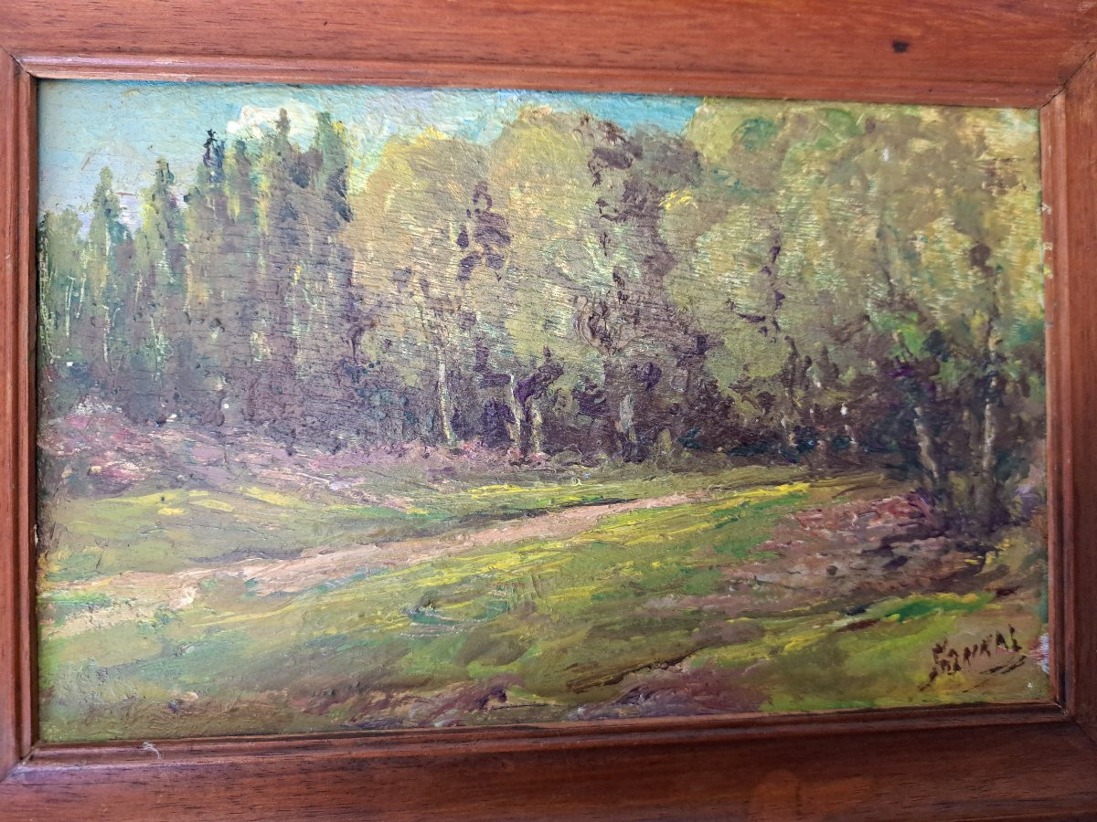 Landscape Of Sologne, Oil On Panel, Signed, 20th Century. -photo-4