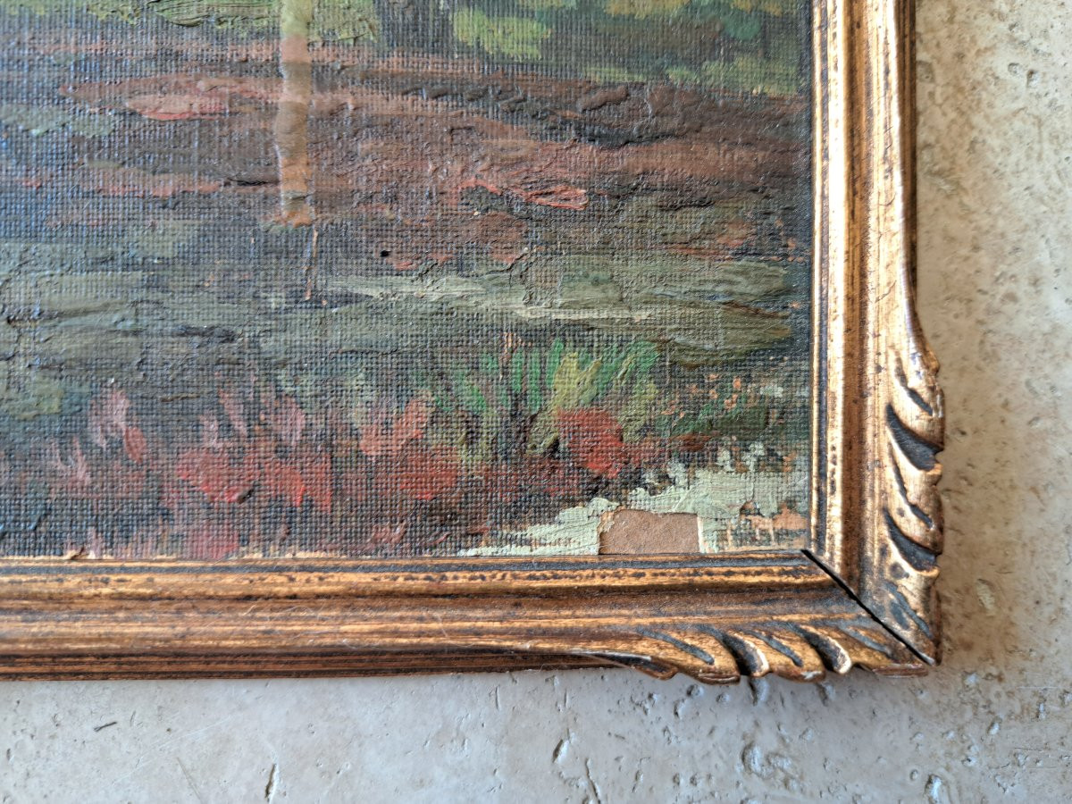Marais et bouleaux , Huile sur papier , Signé , XX°. -photo-4