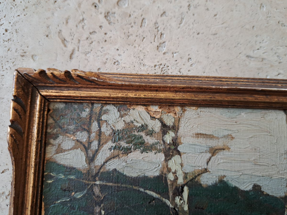 Marais et bouleaux , Huile sur papier , Signé , XX°. -photo-1