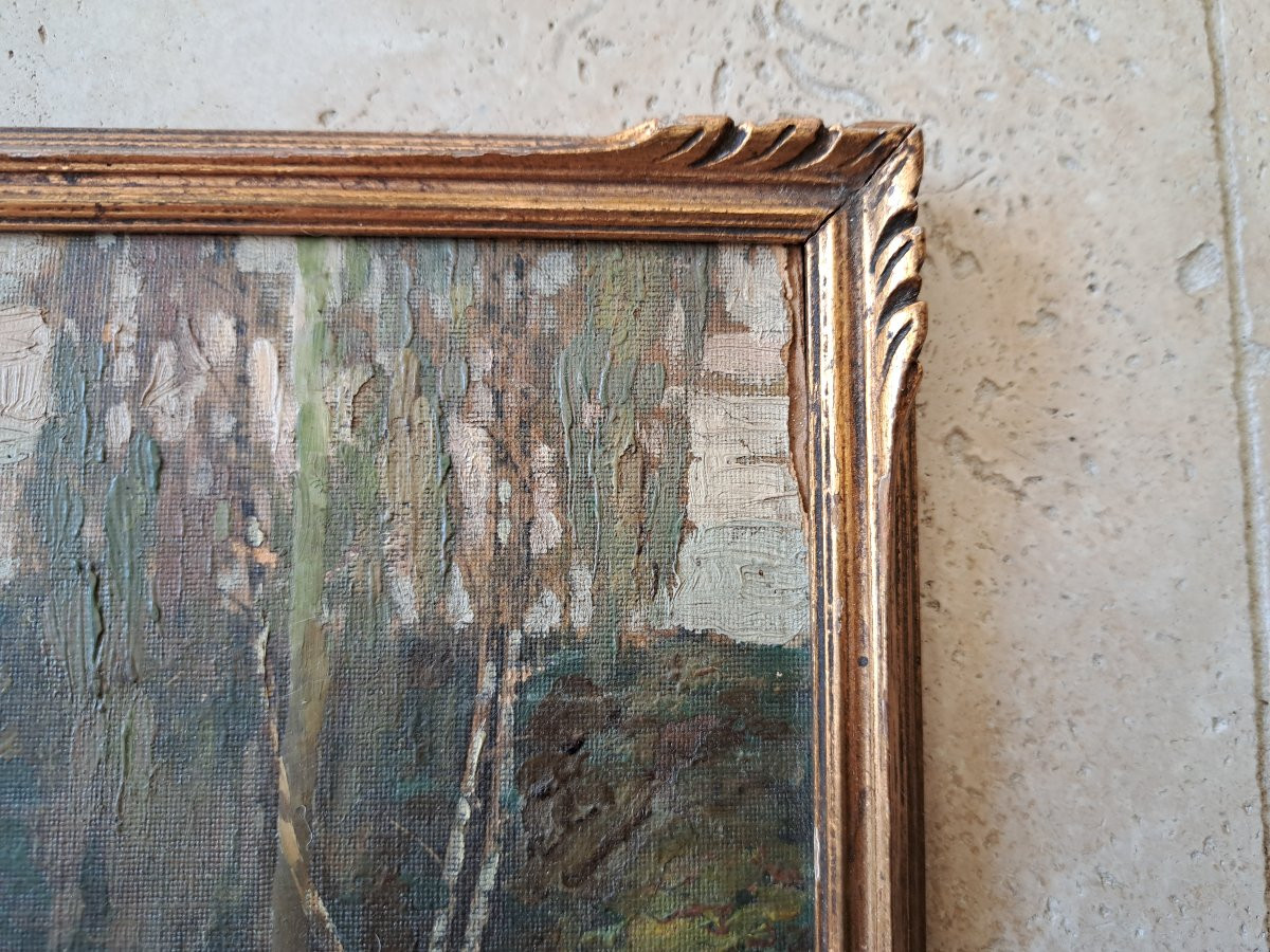 Marais et bouleaux , Huile sur papier , Signé , XX°. -photo-2