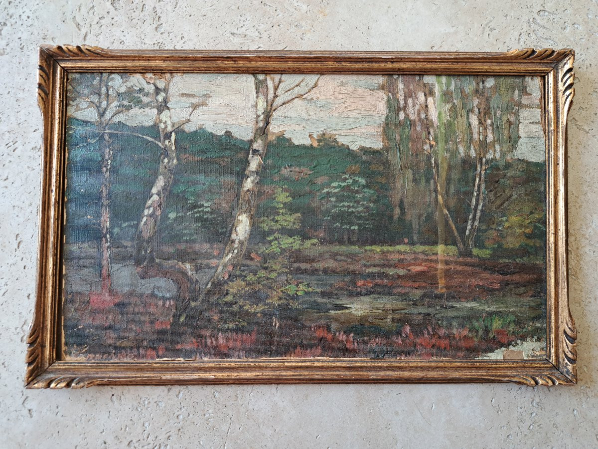 Marais et bouleaux , Huile sur papier , Signé , XX°. -photo-3
