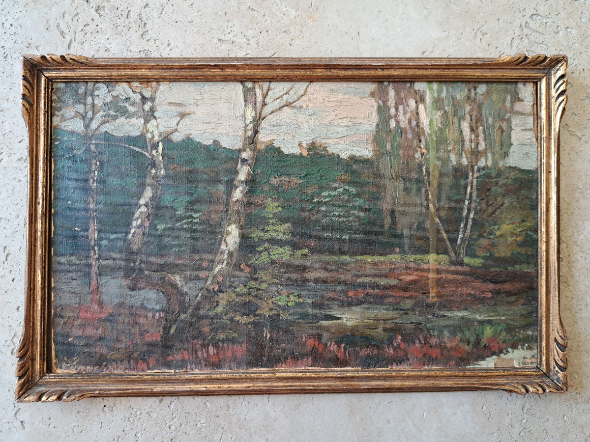 Marais et bouleaux , Huile sur papier , Signé , XX°. 