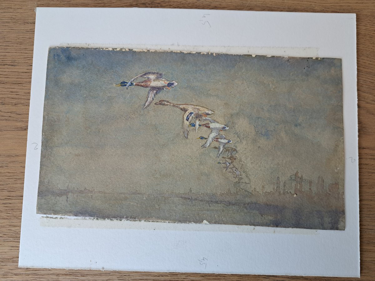 Louis Alfred Andrieux, Duck Hunt, Drawing, Early 20th Century. -photo-4