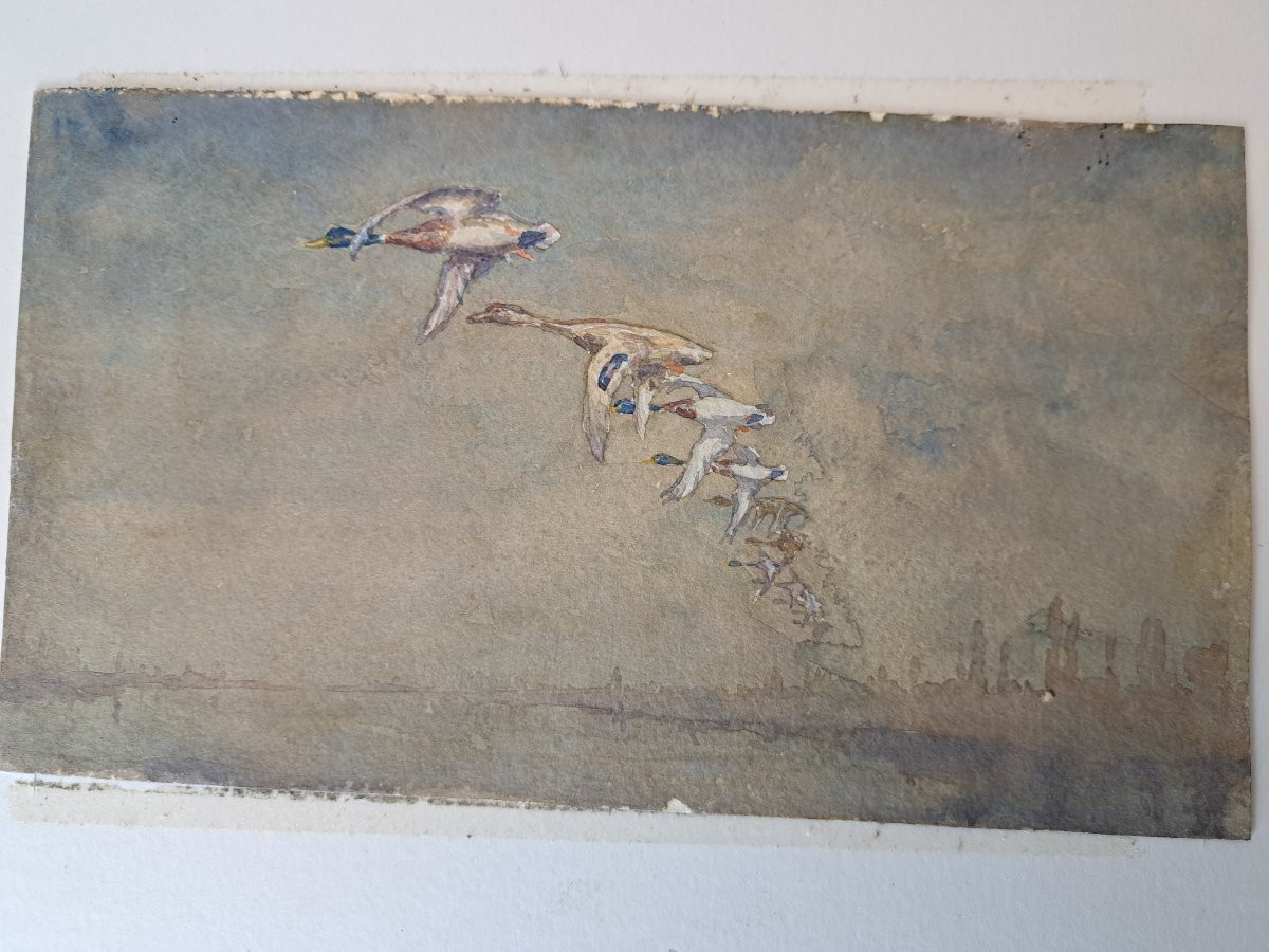 Louis Alfred Andrieux, Duck Hunt, Drawing, Early 20th Century. -photo-5