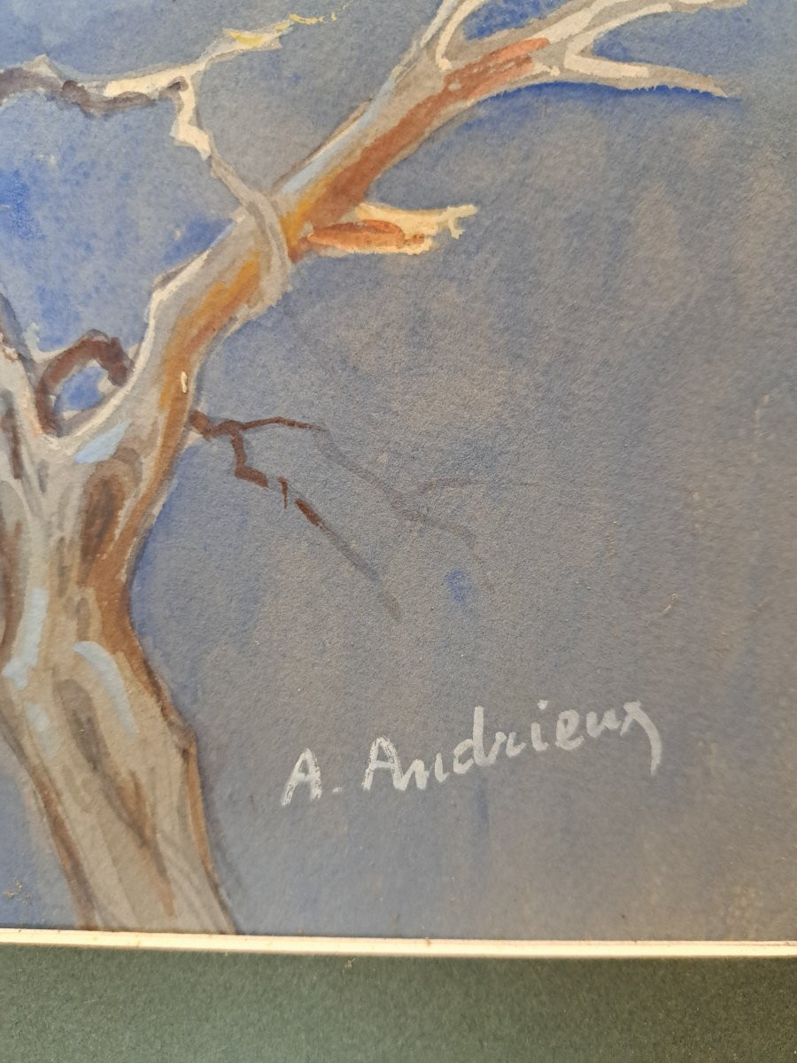 Alfred Andrieux, Falcon On Its Branch, Watercolor, Early 20th Century. -photo-4