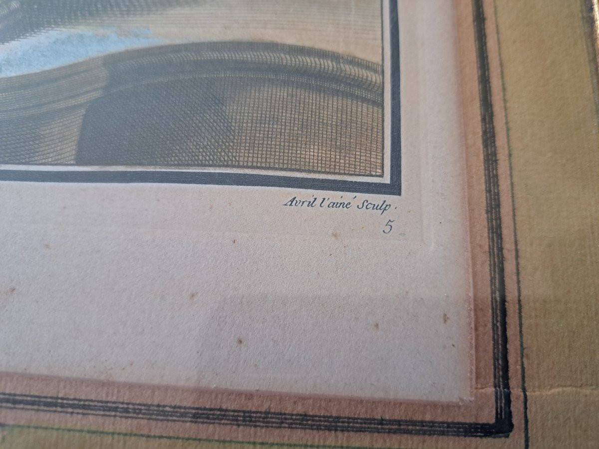 Tessier , Avril l'Ainé , Fleurs , Gravure , XIX°. -photo-3