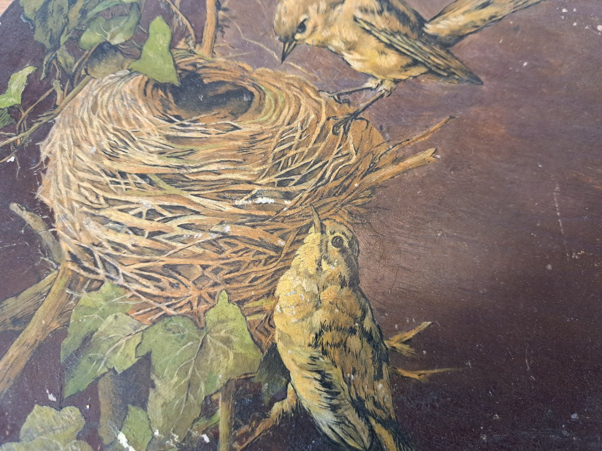 Sparrow's Nest , Painted Tambourine , Early XX°.-photo-4