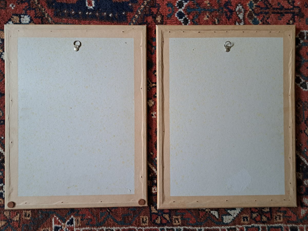 Abraham Lopes Suasso , Cours de fermes , Paire d'aquarelles , XIX°. -photo-7