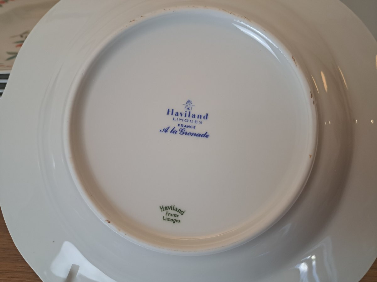 Haviland , A La Grenade , Dinnerware Set , Limoges Porcelain , XX°.-photo-4