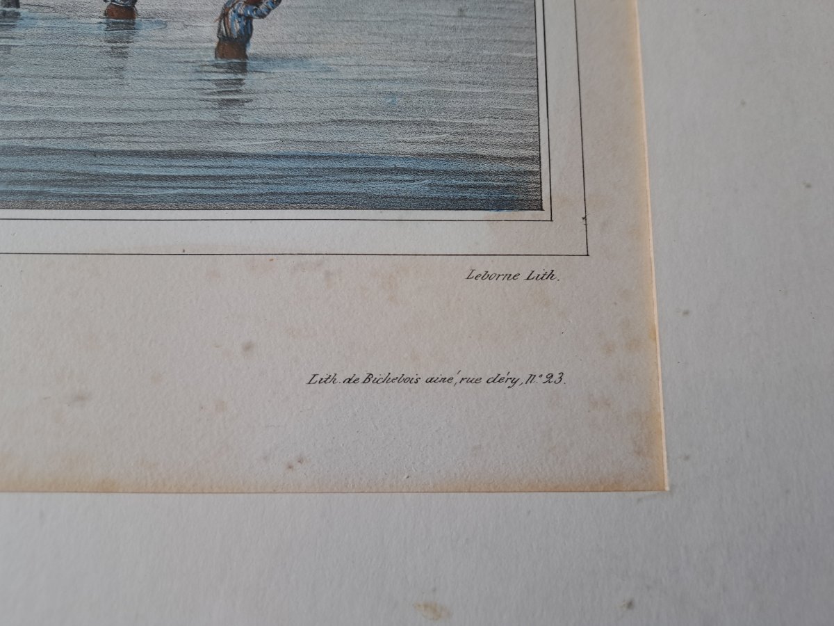 Louis Auguste de Sainson , Paire de lithographie de l'expédition de l'Astrolabe , Papier , XIX°-photo-5