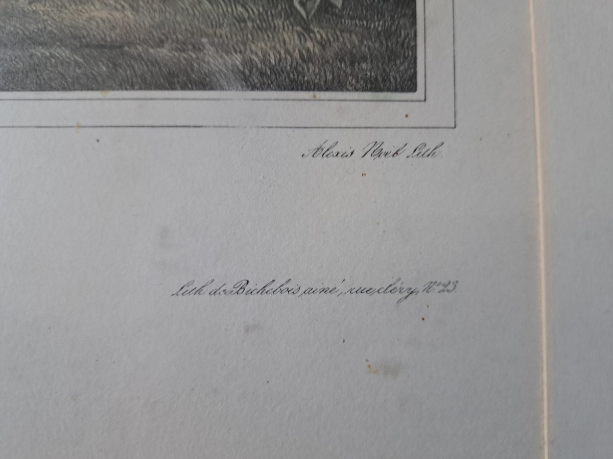 Louis Auguste de Sainson , Paire de lithographie de l'expédition de l'Astrolabe , Papier , XIX°-photo-6