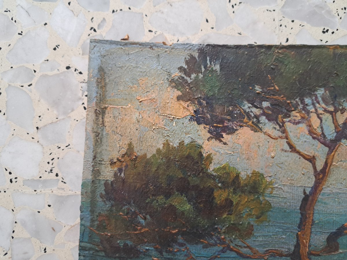Fortuné Car, Seaside In Provence, Oil On Cardboard, 20th Century. -photo-2