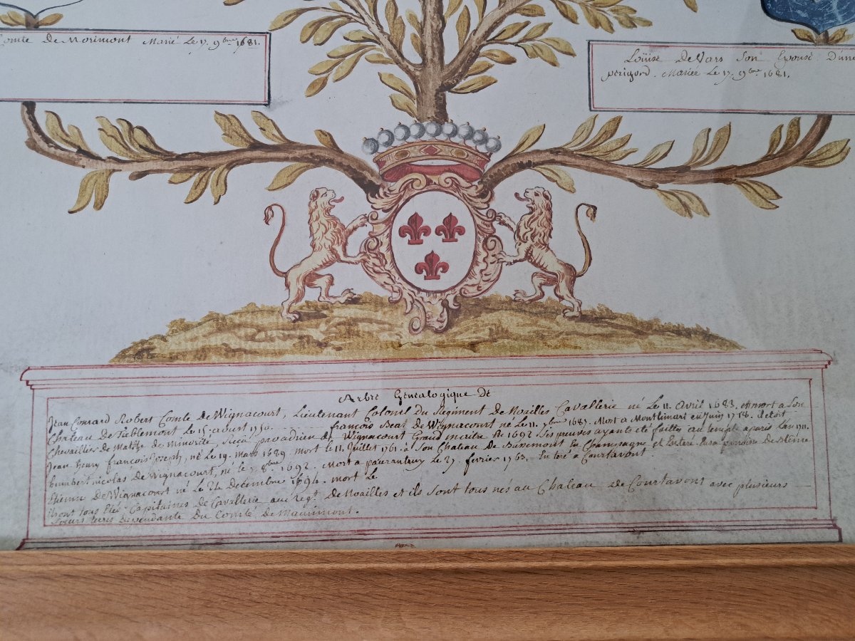 Family Tree Of Jean Conrad Robert, Count Of Wignacourt, Parchment, 18th Century. -photo-3