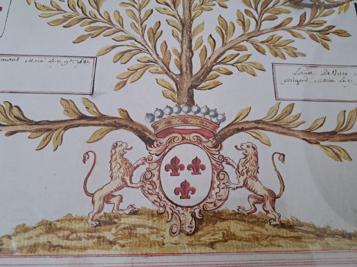 Family Tree Of Jean Conrad Robert, Count Of Wignacourt, Parchment, 18th Century. -photo-2