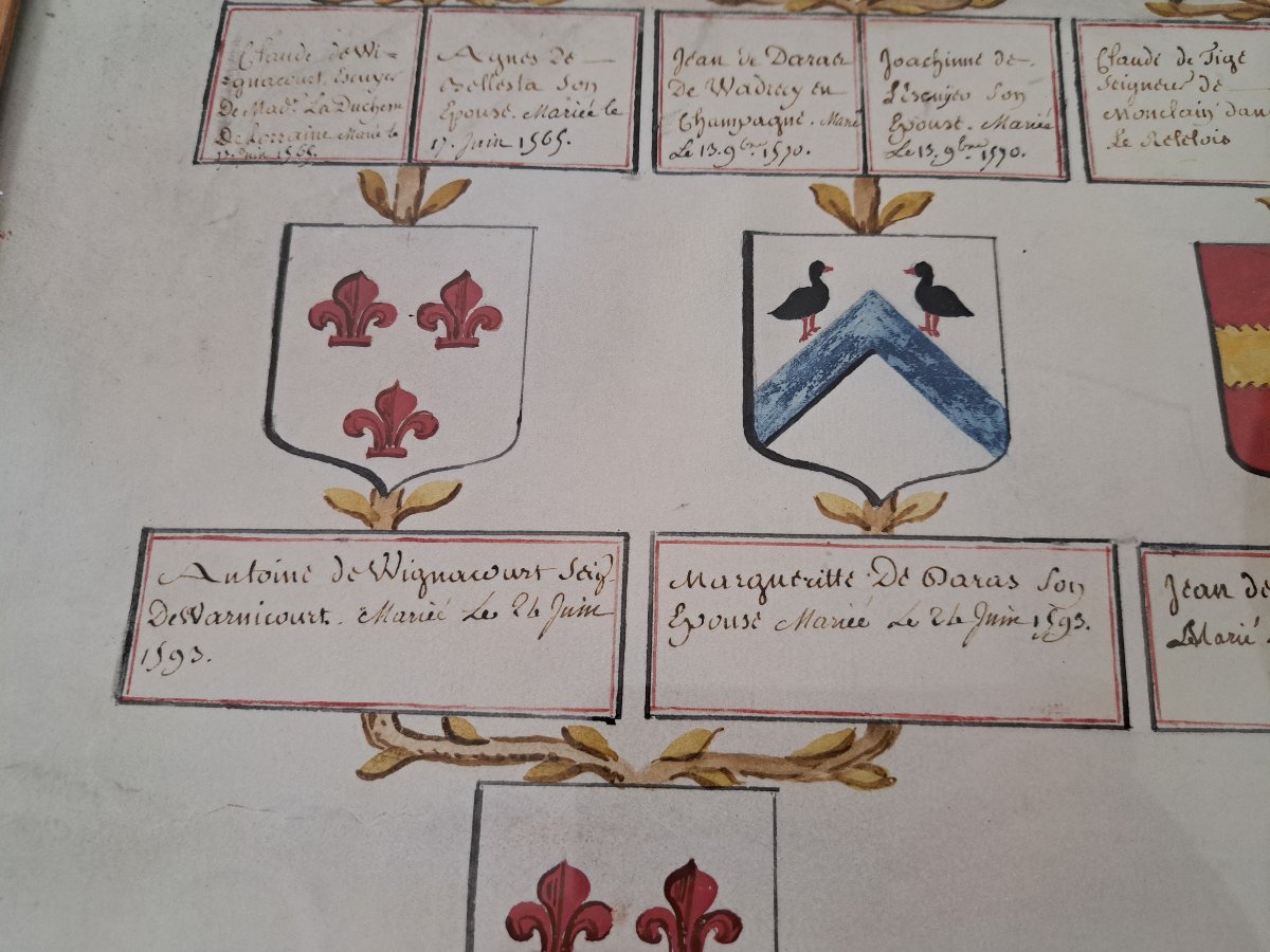 Family Tree Of Jean Conrad Robert, Count Of Wignacourt, Parchment, 18th Century. -photo-5