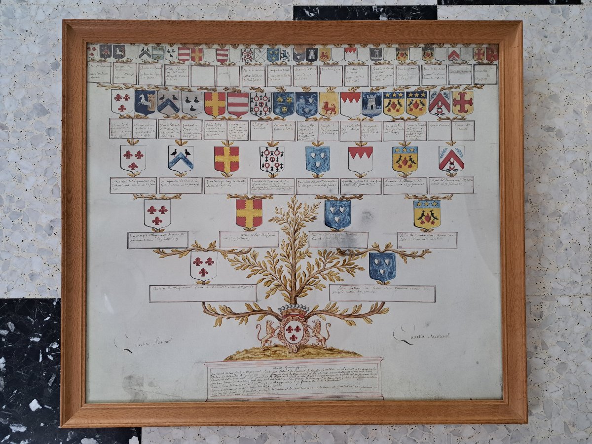 Family Tree Of Jean Conrad Robert, Count Of Wignacourt, Parchment, 18th Century. 