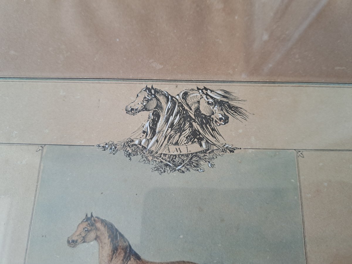 Ferdinand De Dartien, La Cadre Noir De Saumur, Drawing, 19th Century. -photo-3
