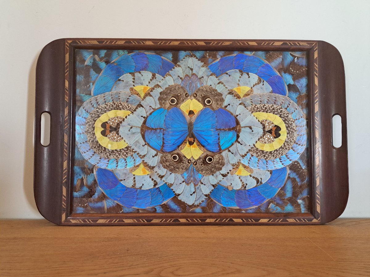 Large Serving Platter, Butterfly Wings, Brazil, 20th Century. -photo-3