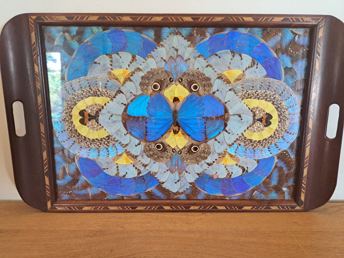 Large Serving Platter, Butterfly Wings, Brazil, 20th Century. -photo-4