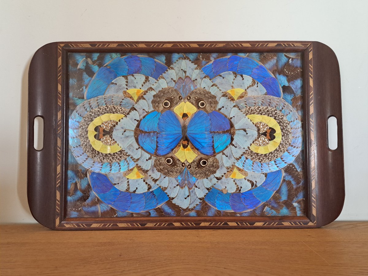 Large Serving Platter, Butterfly Wings, Brazil, 20th Century. -photo-1